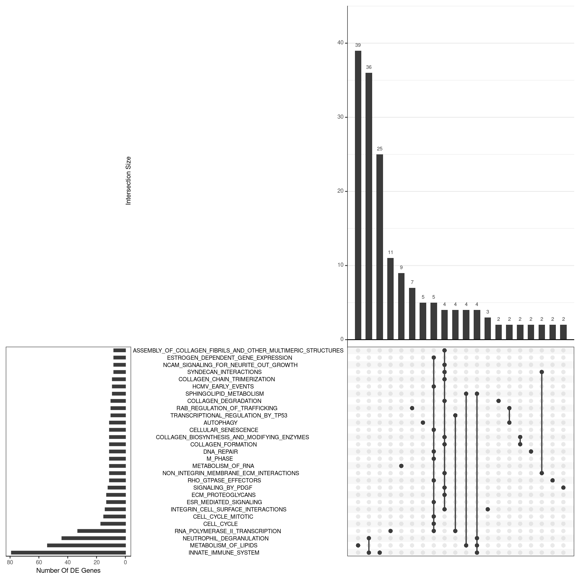 *UpSet plot indicating distribution of DE genes within all significant gene sets. Gene sets were restricted to those with an FDR < 0.05 and at least 8 DE genes*
