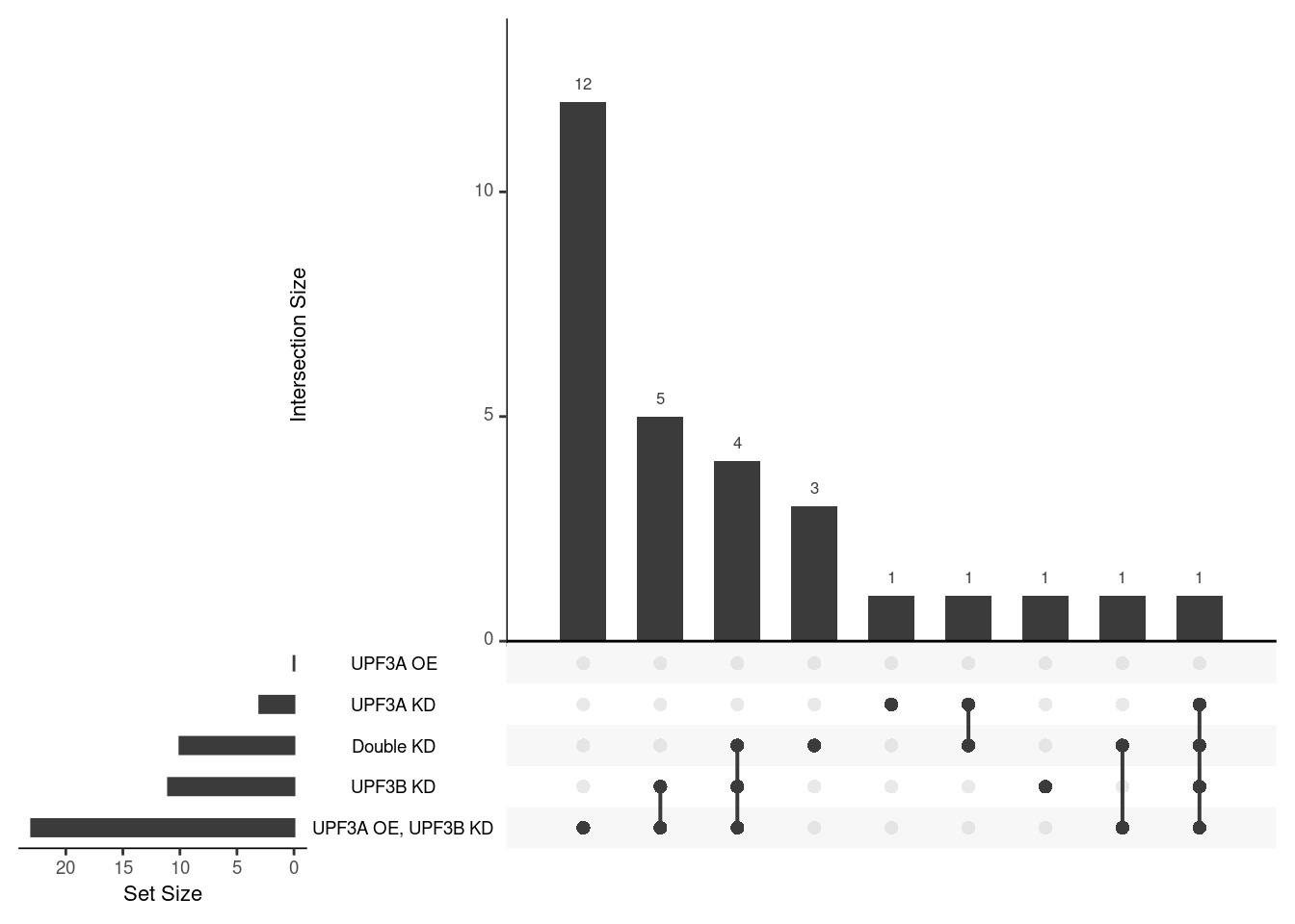 Overlap of terms between enrichment analyses of different groups