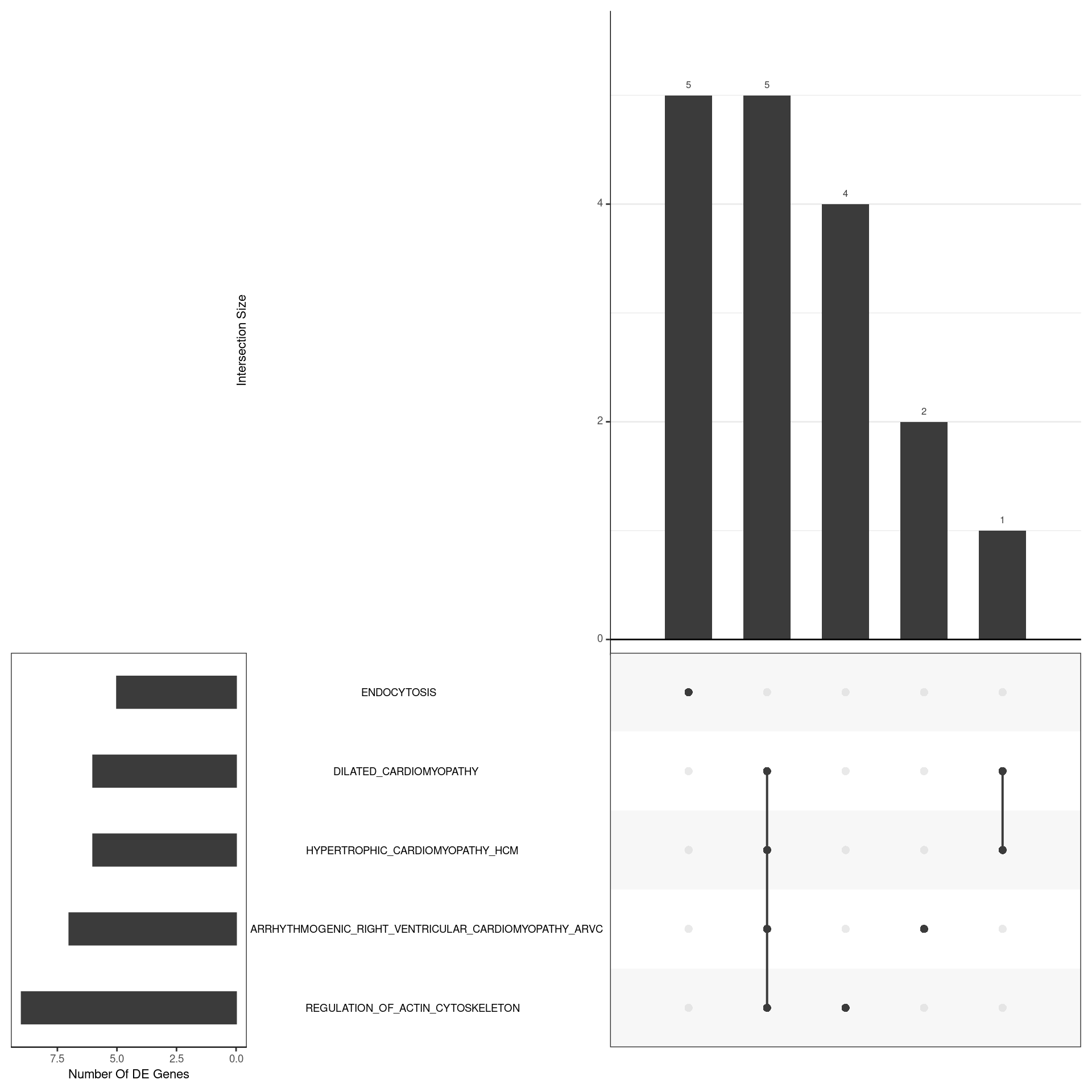 *UpSet plot indicating distribution of DE genes within all significant gene sets. Gene sets were restricted to those with an FDR < 0.05 and at least 5 DE genes*