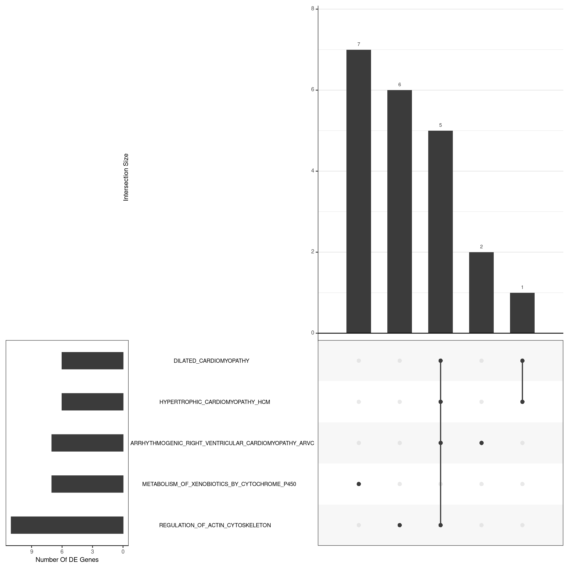 *UpSet plot indicating distribution of DE genes within all significant gene sets. Gene sets were restricted to those with an FDR < 0.05 and at least 5 DE genes*