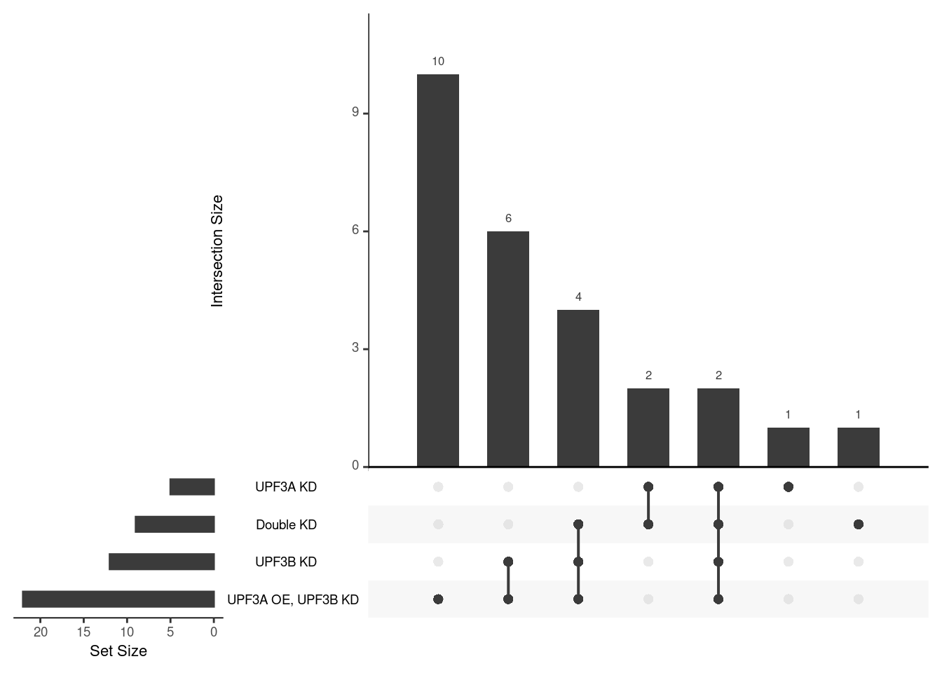 Overlap of terms between enrichment analyses of different groups