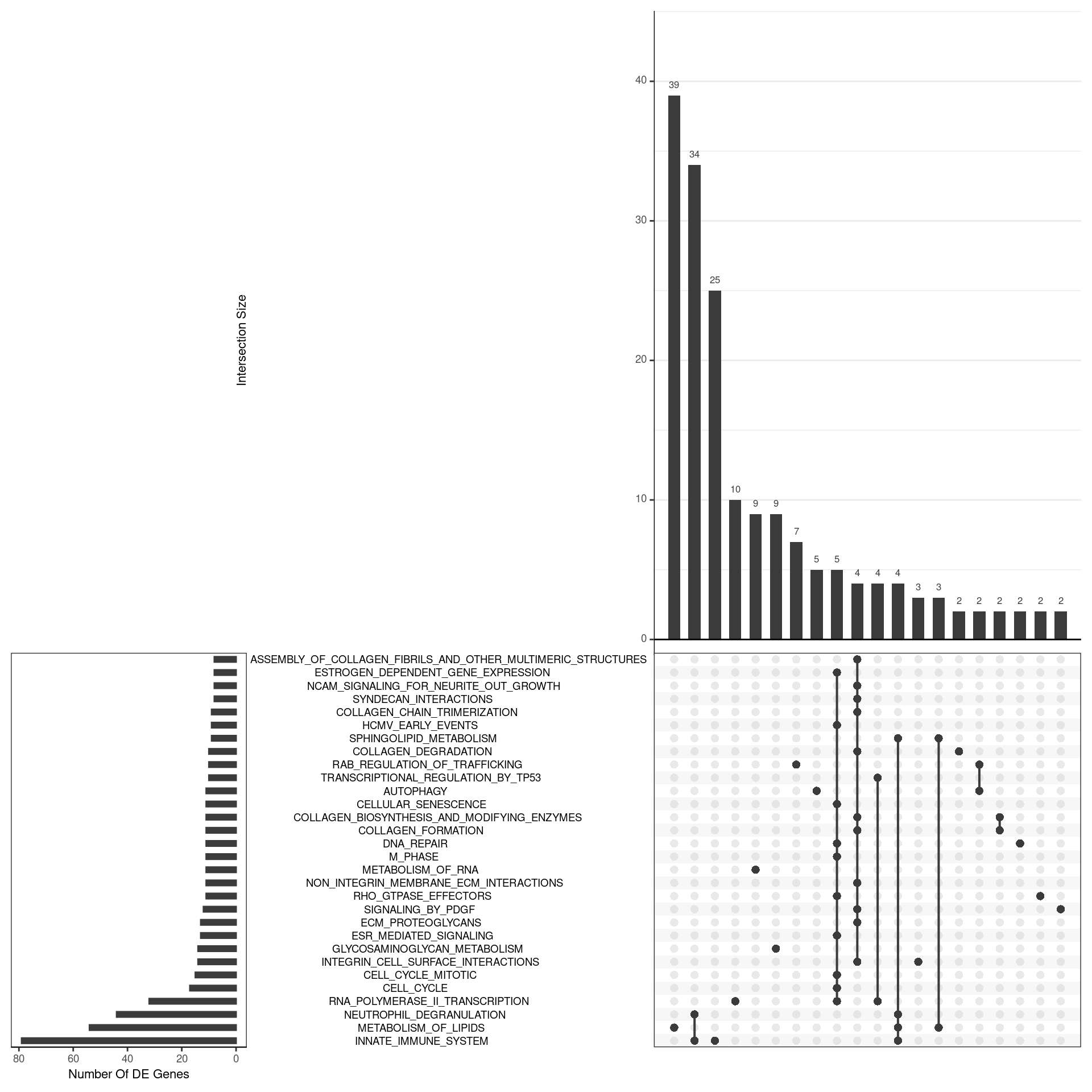 *UpSet plot indicating distribution of DE genes within all significant gene sets. Gene sets were restricted to those with an FDR < 0.05 and at least 8 DE genes*