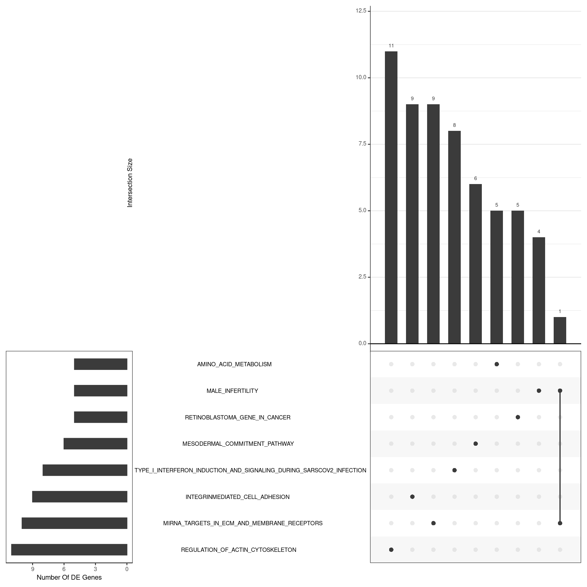 *UpSet plot indicating distribution of DE genes within all significant gene sets. Gene sets were restricted to those with an FDR < 0.05 and at least 5 DE genes*