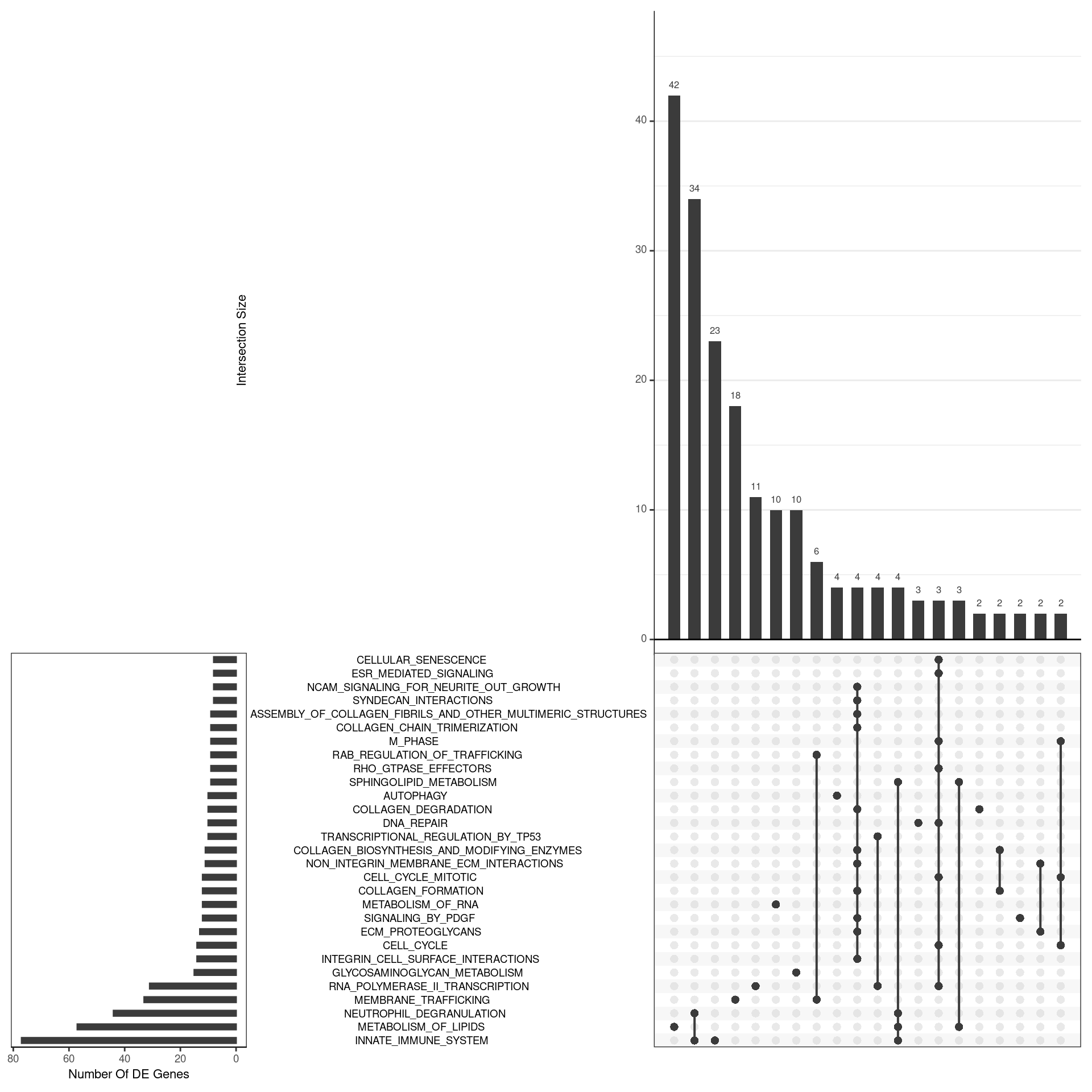 *UpSet plot indicating distribution of DE genes within all significant gene sets. Gene sets were restricted to those with an FDR < 0.05 and at least 8 DE genes*