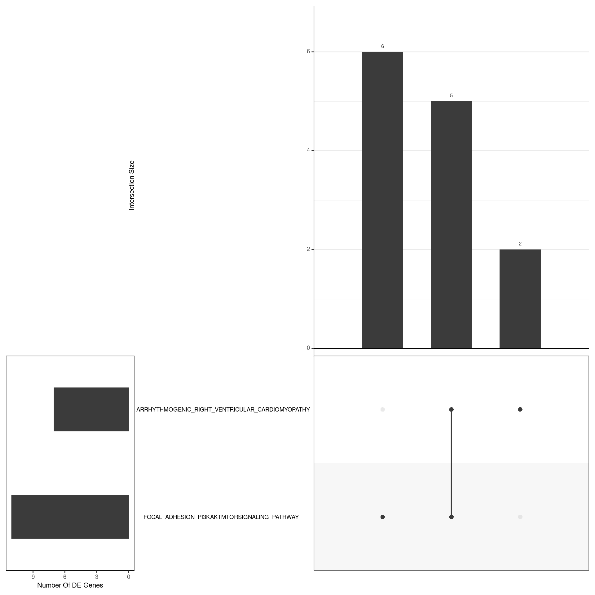 *UpSet plot indicating distribution of DE genes within all significant gene sets. Gene sets were restricted to those with an FDR < 0.05 and at least 5 DE genes*