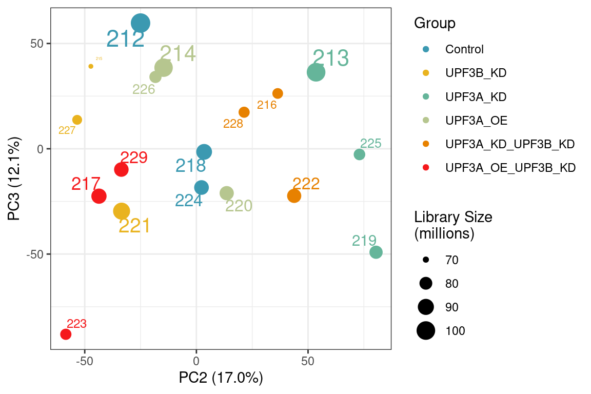 *Principal component analysis of gene level data showing PC2 and PC3. Sample 223 seems to cluster away from its condition group in PC3*