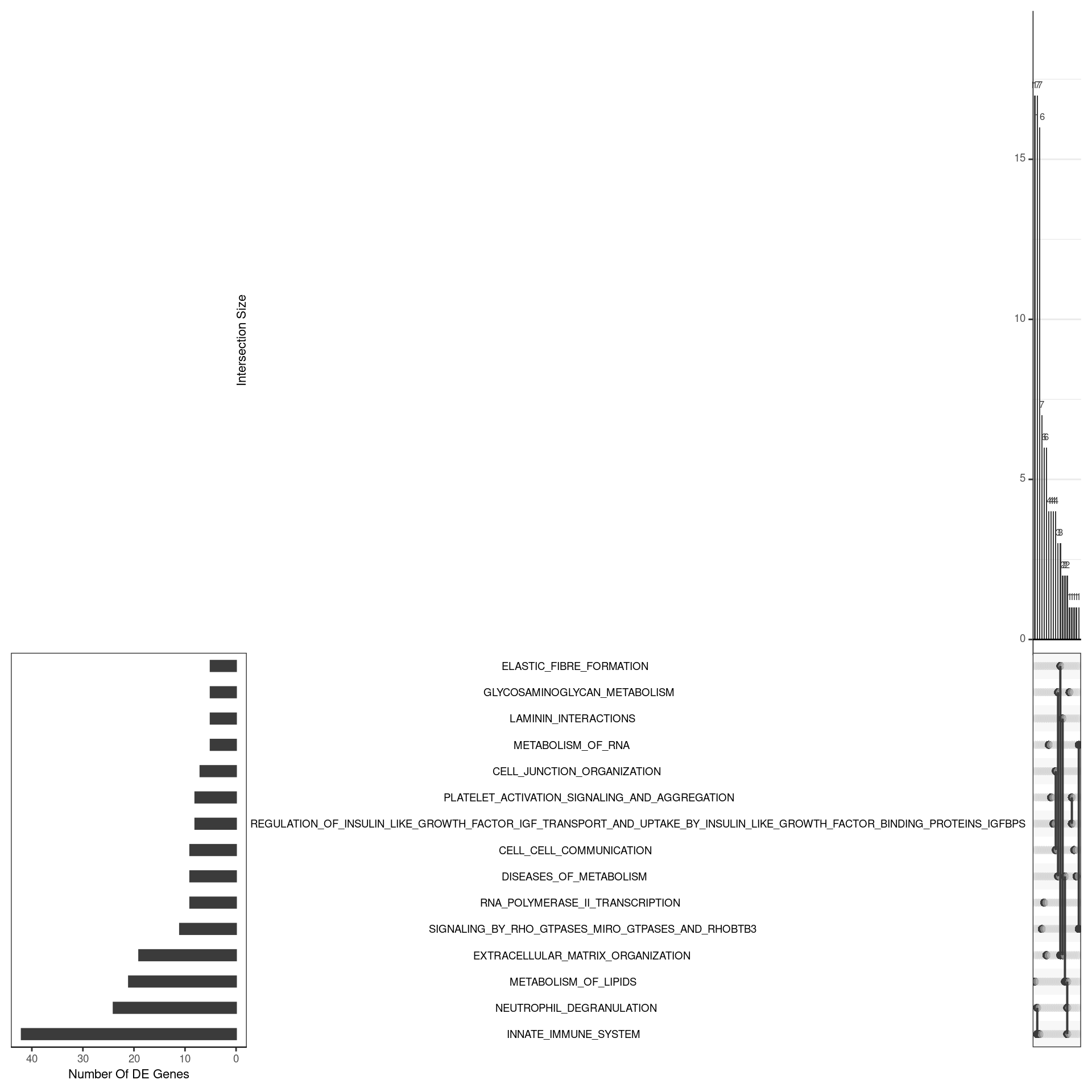 *UpSet plot indicating distribution of DE genes within all significant gene sets. Gene sets were restricted to those with an FDR < 0.05 and at least 5 DE genes*