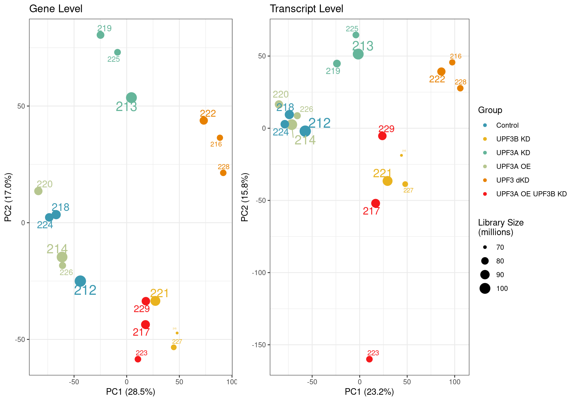 *Principal component analysis of gene (left) and transcript (right) level data. PCA was performed on log2 transformed TPMs after filtering for each respective datatype (gene and transcript level). Gene level PCA shows that all samples are clustering closely based on condition, with no impact of library size in PC1 and PC2. Transcript level PCA shows that samples are clustering close to their conditions based on PC1, however one of the samples of the UPF3A OE in UPF3B KD cell line (sample 223), seems to deviate from its condition group and the rest of the data, so needs to be further investigated*