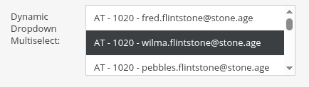 inputfield-dynamicdropdownmultiselect.png