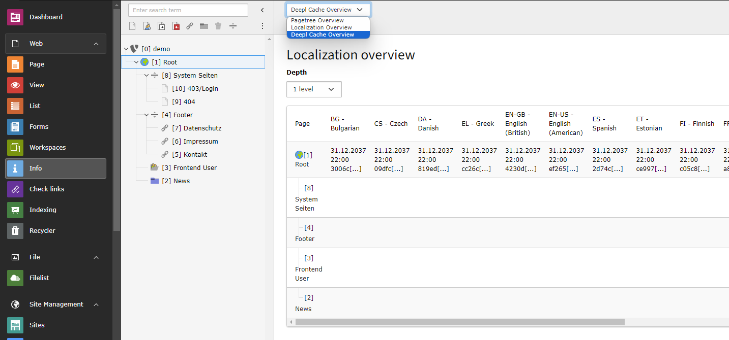 deepl_info_module_cache_overview.png