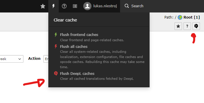 deepl_menu_clear_cache.png