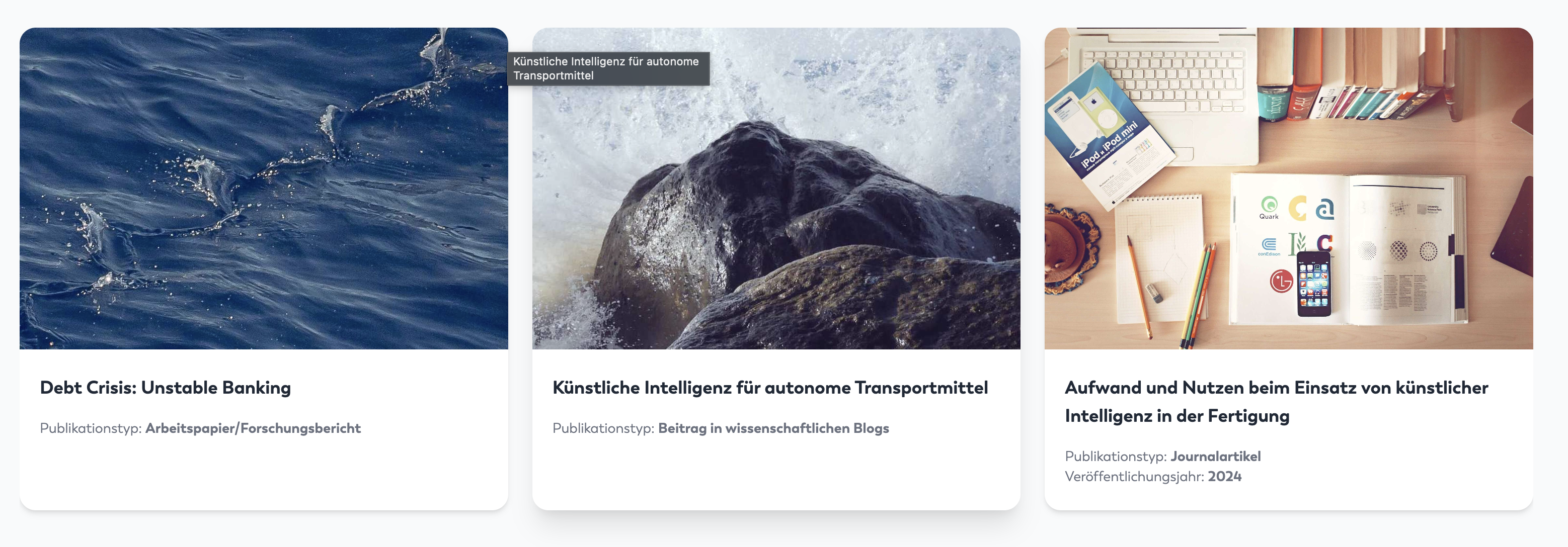 Frontendansicht der ausgewählten Publikationen