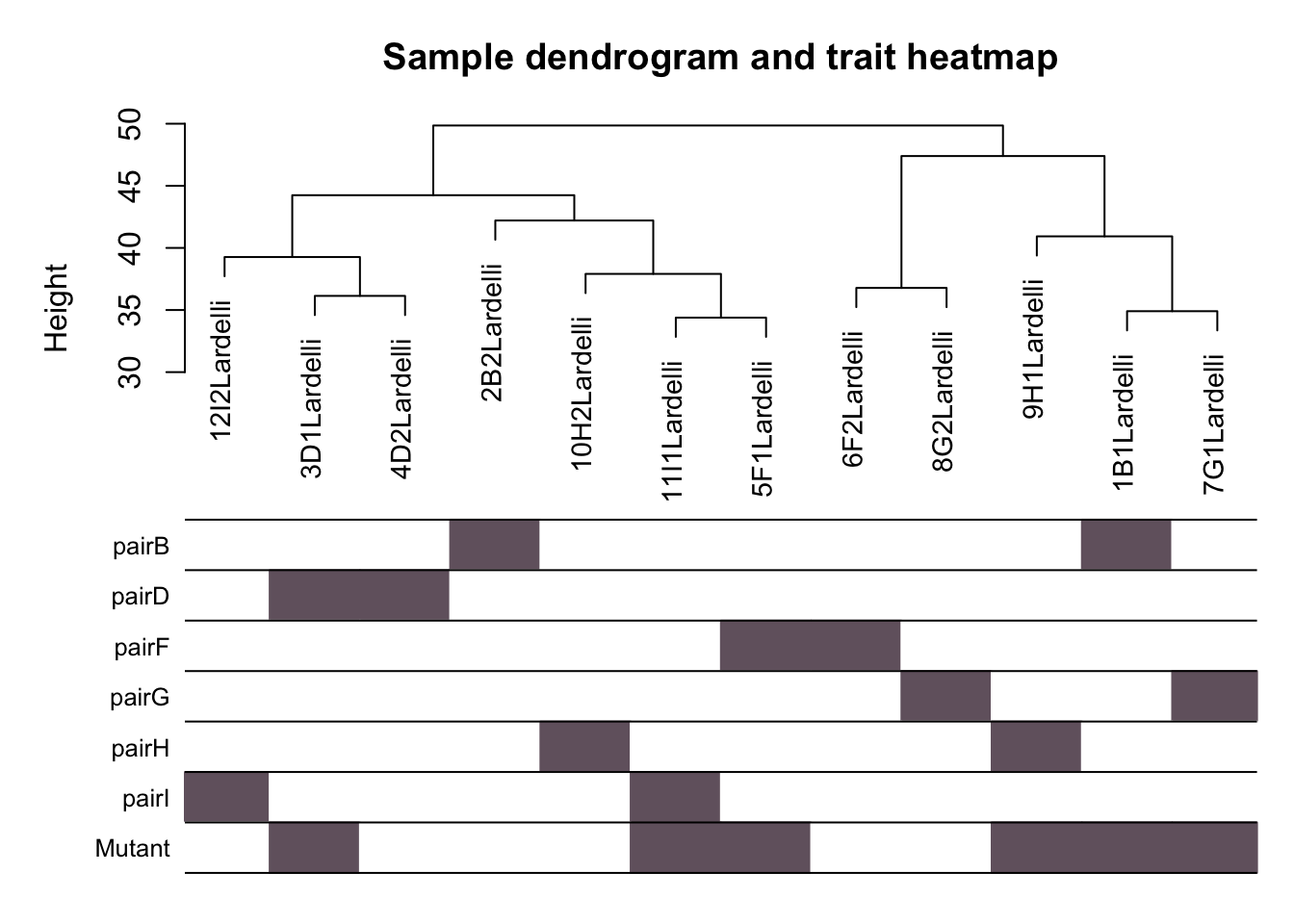 Hierarchial clustering of Q96K97del larvae RNA-seq libraries based on expression of 13,538 genes in the matrix X. 