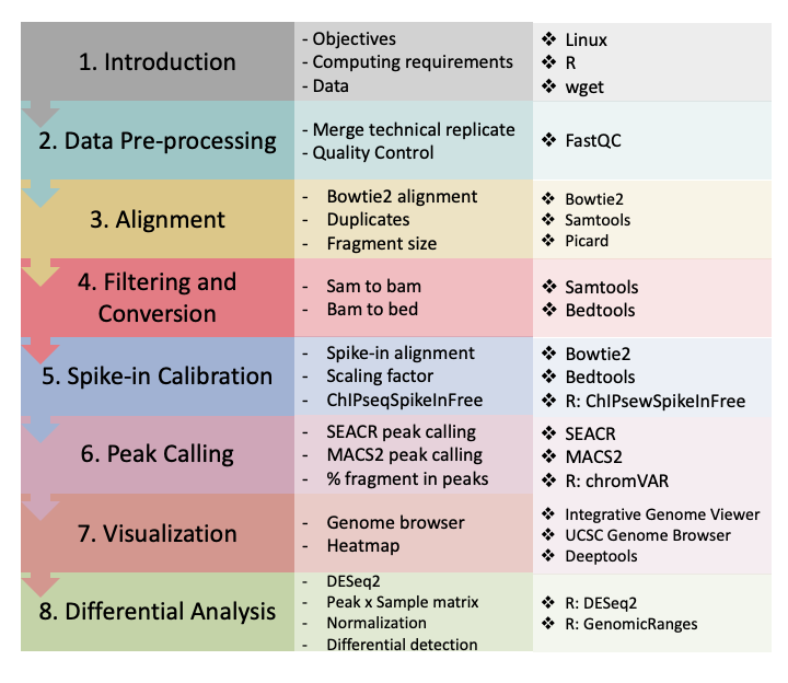 Figure 2. CUT&Tag data processing and analysis.