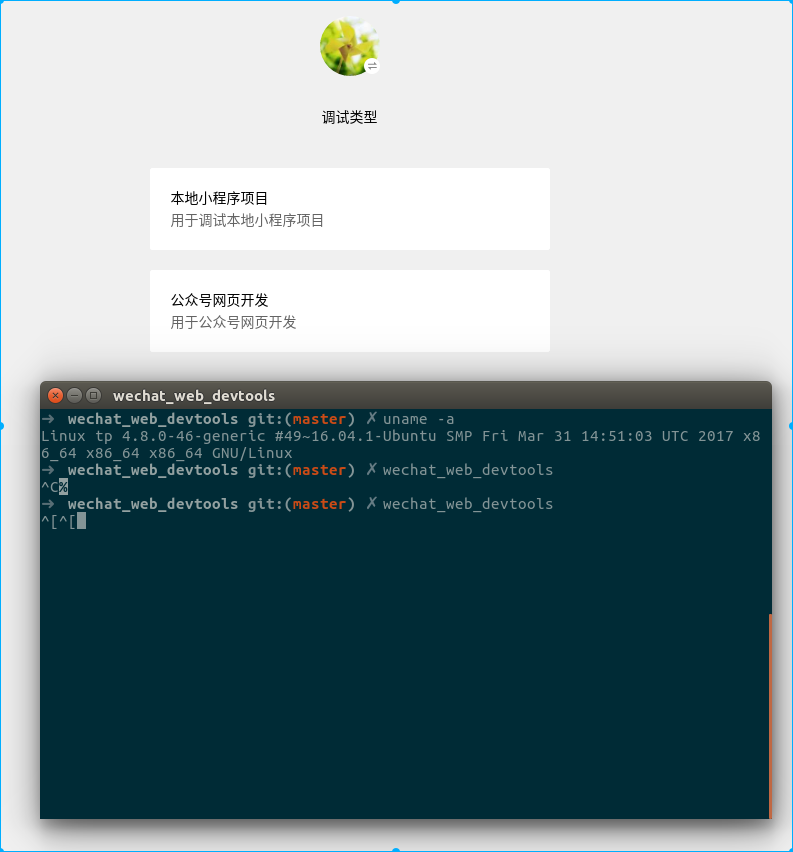 WeChat Web DevTools