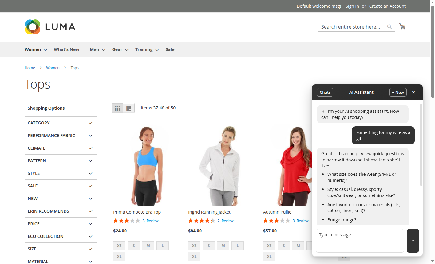 Chat widget on the storefront